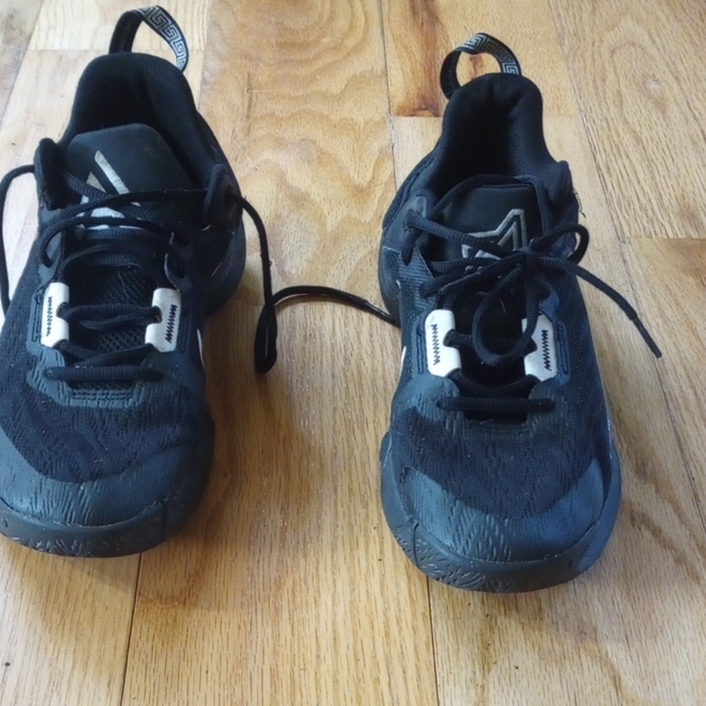 Giannis Antetokounmpo Nikes Size 8.5